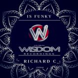 Artwork for "Is Funky"