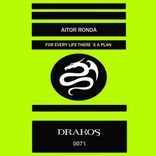 Artwork for "For Every Life There's a Plan"