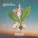 Artwork voor "Organica Records Compilation 02"