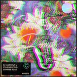 Artwork voor "Sunrise Road"