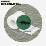 Artwork for "$100 Dollar Bill"
