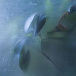 Artwork for "Saturator"