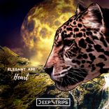 Portada para "Heart"