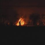 Artwork for "For You"