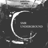 Artwork for "Verdant Tract E.P"