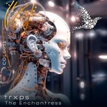 Artwork for "The Enchantress"