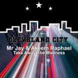 Artwork voor "Take Away the Madness"