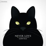 Artwork for "Never Love"