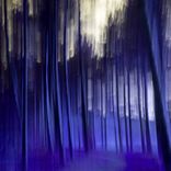 Artwork for "Pneuma – Oniris"