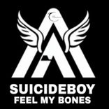 Artwork for "Feel My Bones"