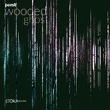 Artwork for "Wooded Ghost"