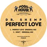 Artwork für "Perfect Love"