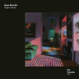 Portada para "Night Safari"