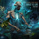 Portada para "What Is Life (Ikøn Remix)"