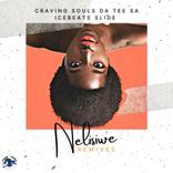Artwork for "Nelisiwe (Remixes)"