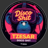 Artwork for "Disco Shit"
