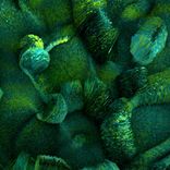 Artwork voor "Selected Spaces"