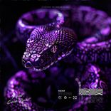 Portada para "Rattlesnake"