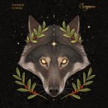 Artwork for "Echoes"