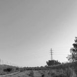 Artwork für "Pacific Reasons"