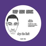 Artwork for "Skys The Limit / Poltigiest"