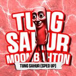 Artwork for "TUNG SAHUR (SPED UP)"