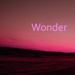 Artwork für "Wonder"