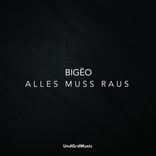 Artwork for "Alles Muss Raus"