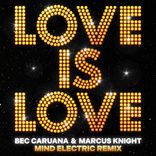 Artwork for "Love Is Love"