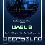 Artwork for "DeepSound Academy Volume 2"