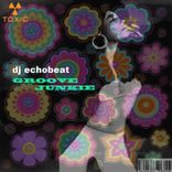 Portada para "Groove Junkie"