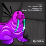 Artwork for "I Can't Remember"