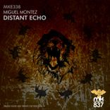 Artwork voor "Distant Echo"