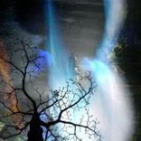 Artwork for "Lengua Mater"