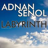 Artwork voor "Labyrinth"