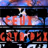 Artwork for "Gaya (FEUX Remix)"