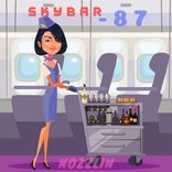 Portada para "SkyBar 87"