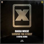 Artwork voor "Survive The Street (D-Royal Remix)"