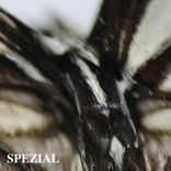 Portada para "Savage Beauty"