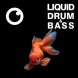 Artwork für "Liquid Drum & Bass Sessions #54"