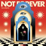 Artwork for "Not Forever"