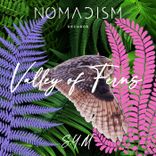 Artwork voor "Valley of Ferns"