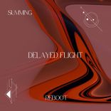 Artwork voor "Delayed Flight (Reboot)"