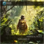 Artwork voor "Explorer"