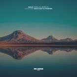 Artwork für "Parallel Worlds"