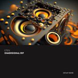Portada para "Dimensional Rip"