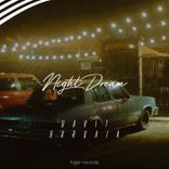 Artwork for "Night Dream"