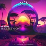 Artwork for "Endless Night"