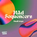 Portada para "Small Steps"