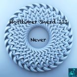 Artwork für "Never"